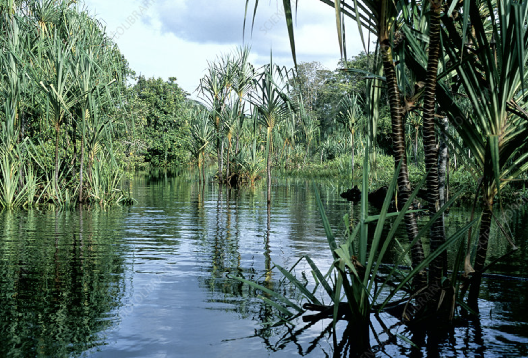 Maludam National Park