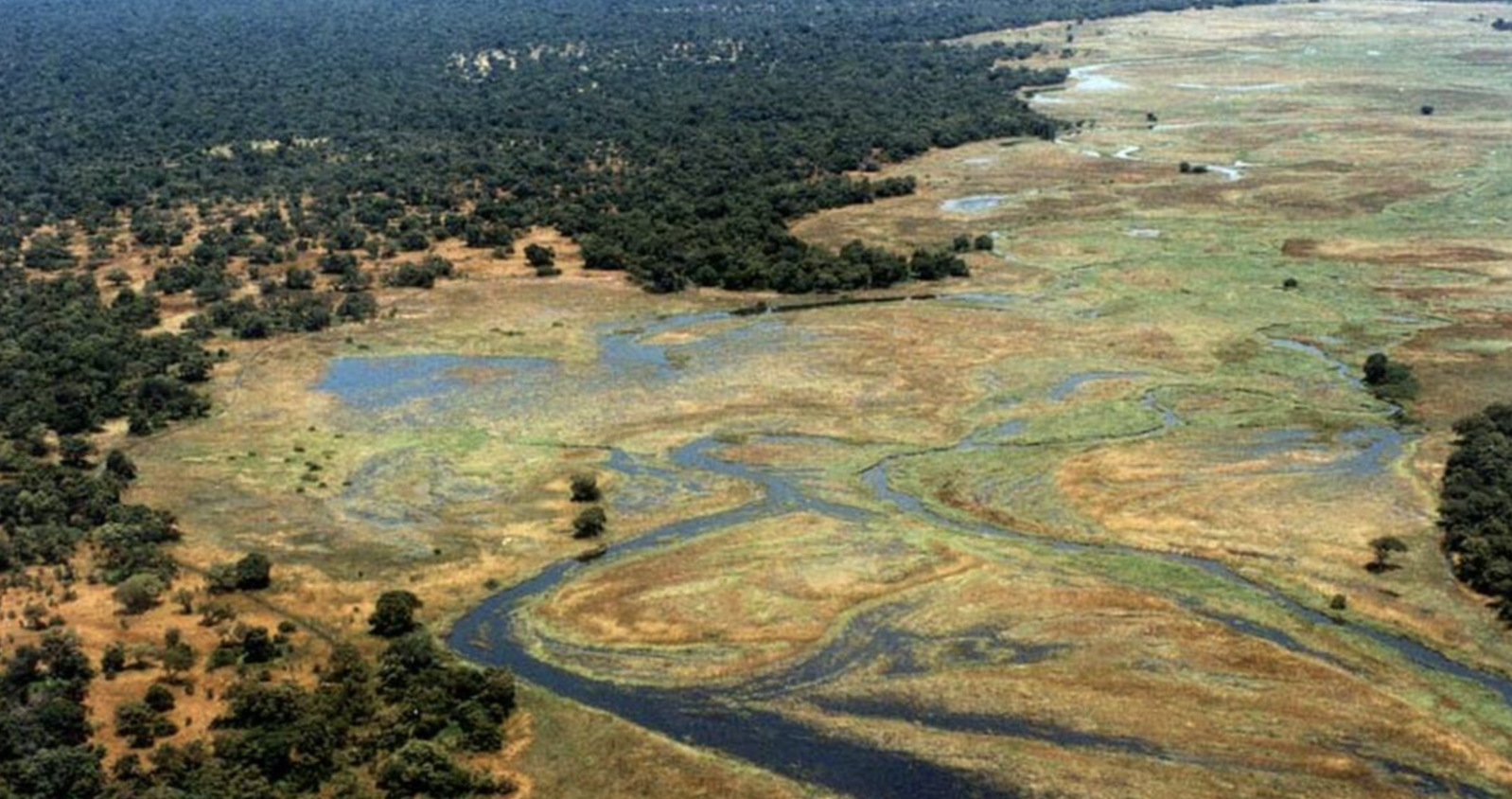 Manovo-Gounda St Floris National Park