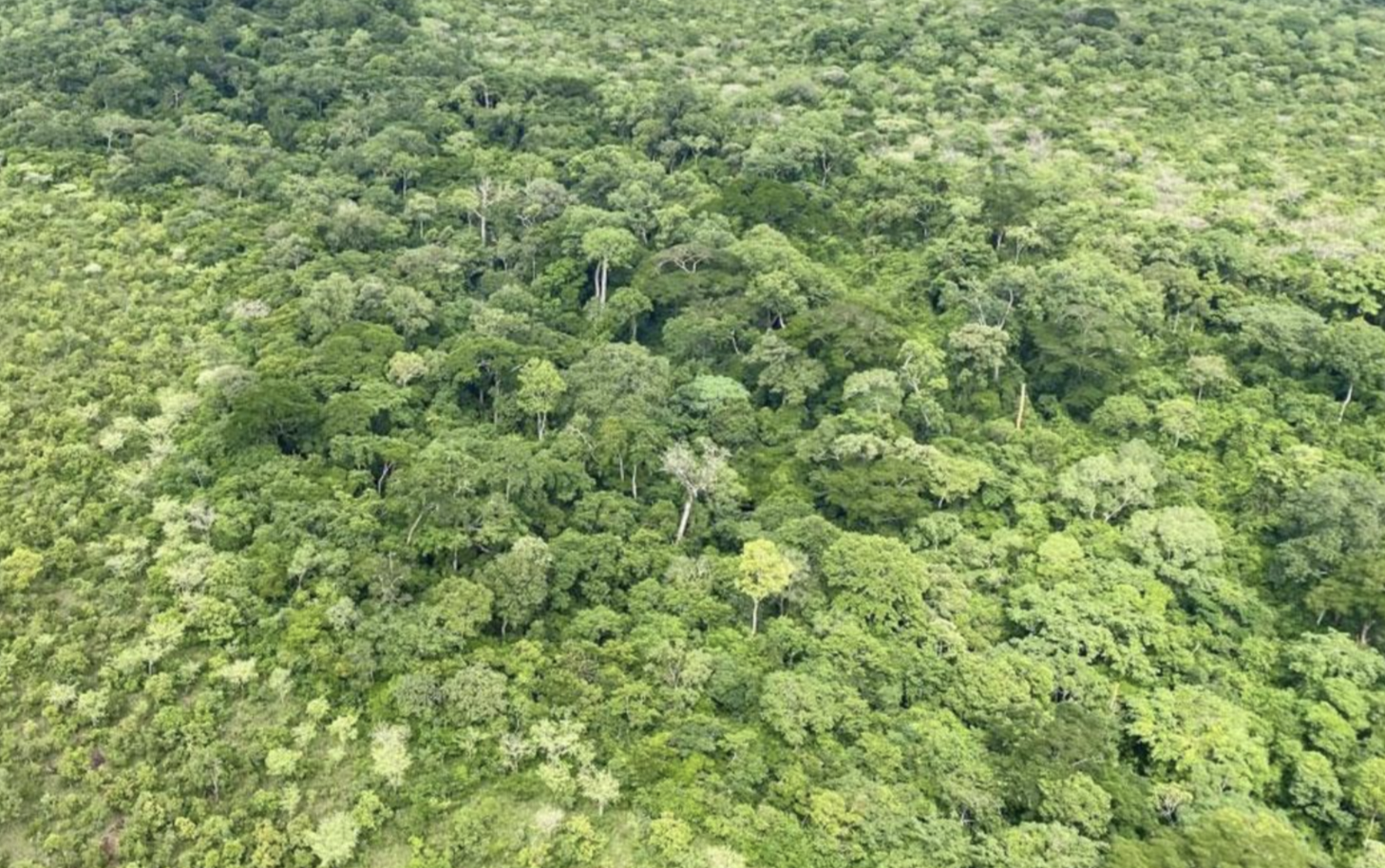 Mbaéré Bodingué National Park