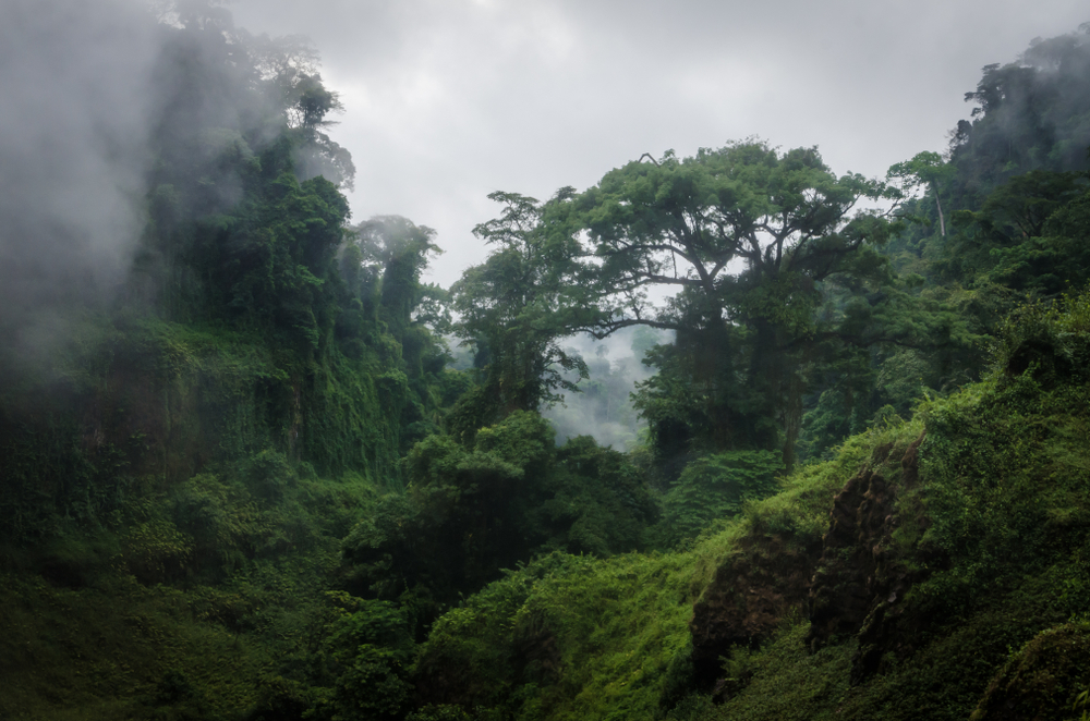 Mbere Valley National Park