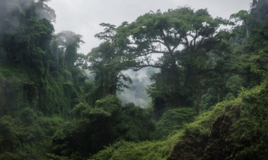 Tchabal Mbabo National Park