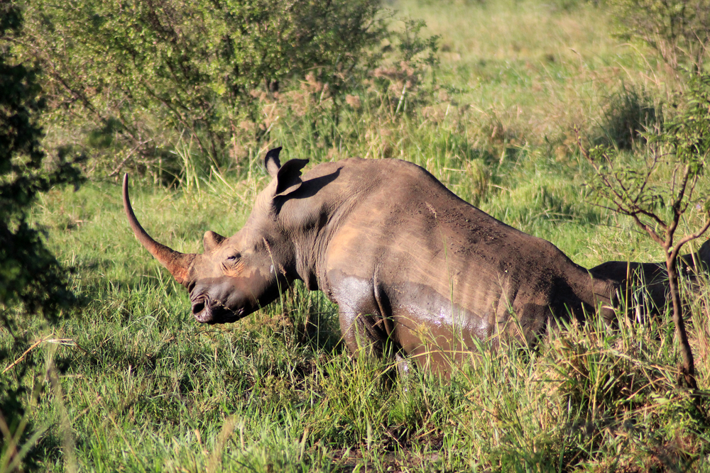 Watamu Marine National Park