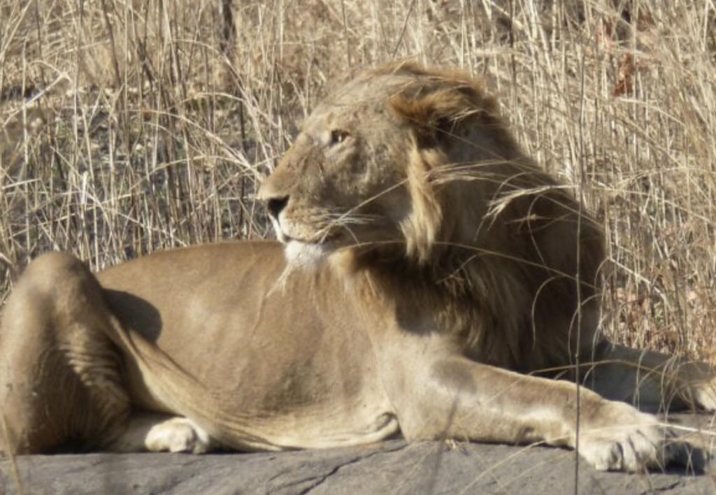 Takamanda National Park