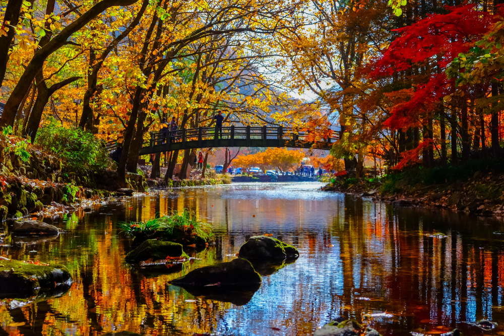 Jirisan National Park hwaeomsa fall foliage