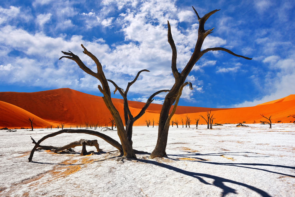 Namib Naukluft National Park