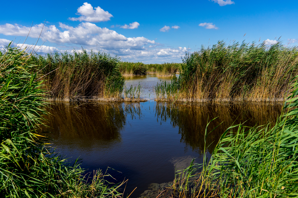 Gesause National Park