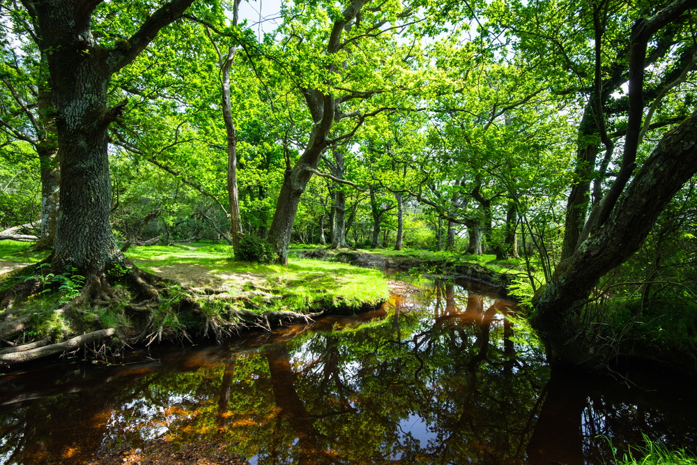 Exmoor National Park wimbleball lake