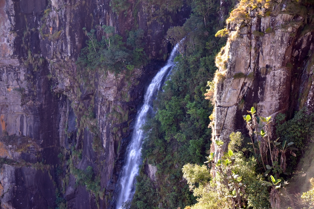 Nyanga National Park