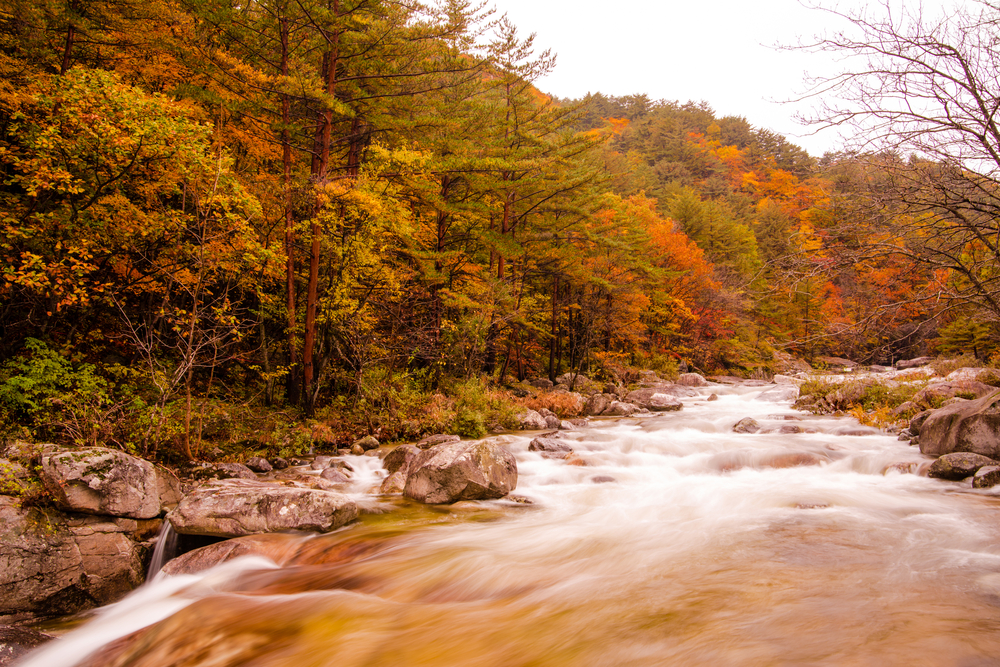 Naejangsan National Park fall foliage and reflection