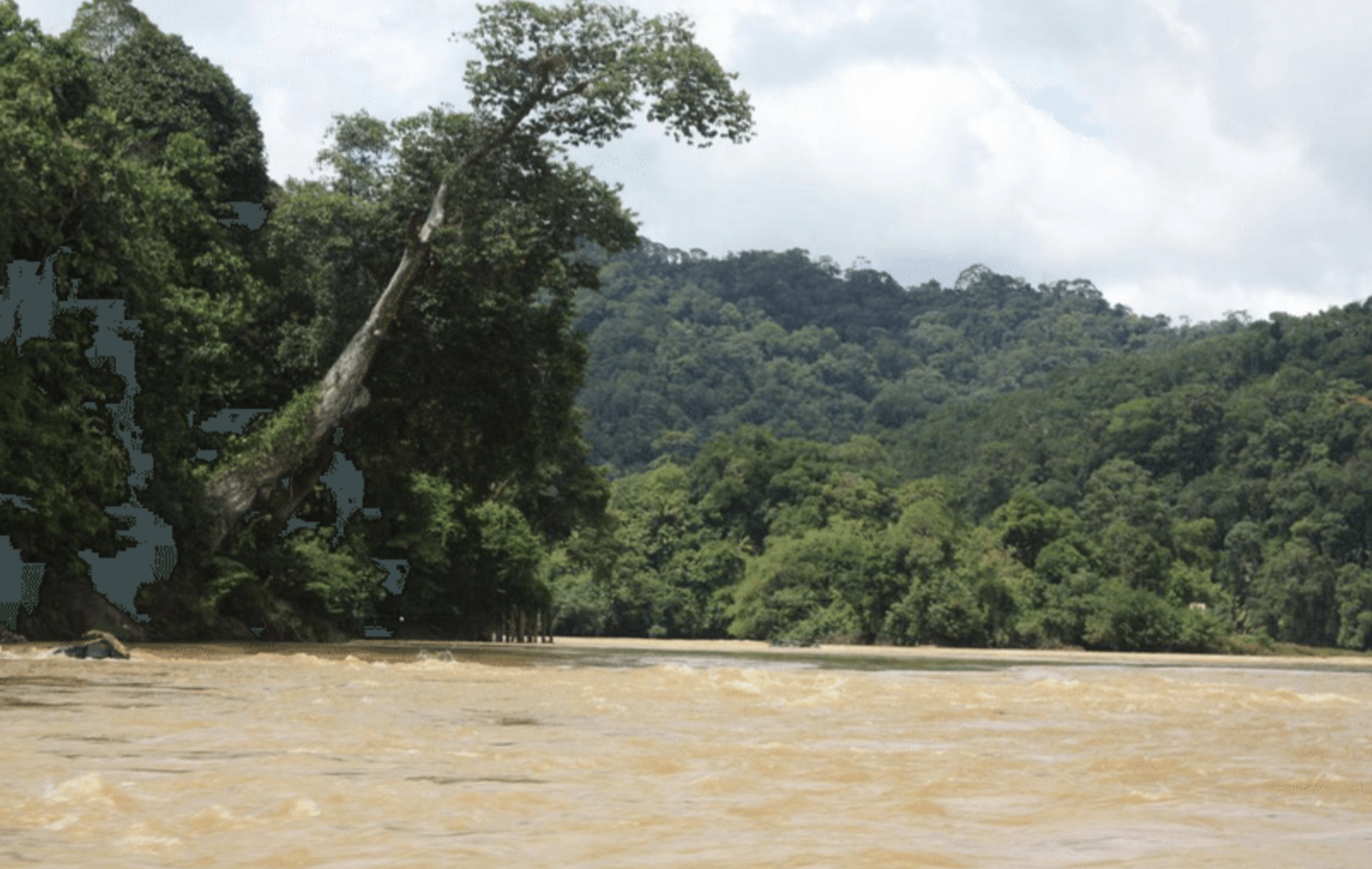 Pelagus National Park