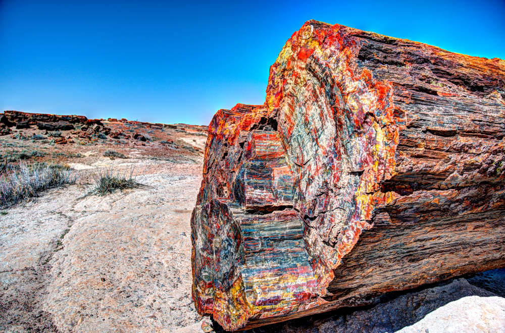 Petrified Forest National Park layered landscapes