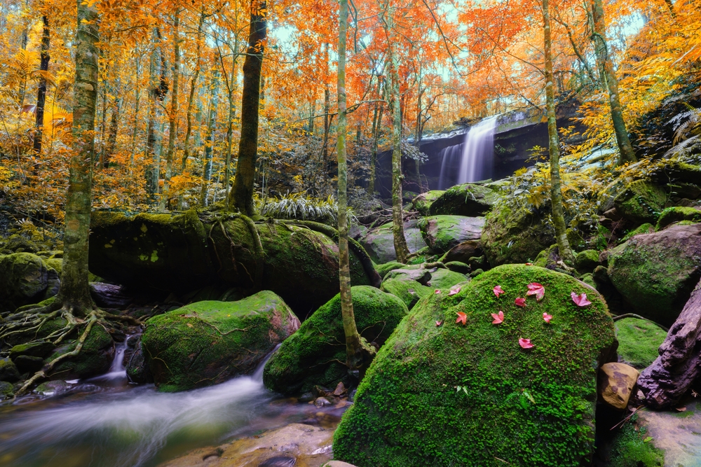 Phu Kradueng Nationa Park