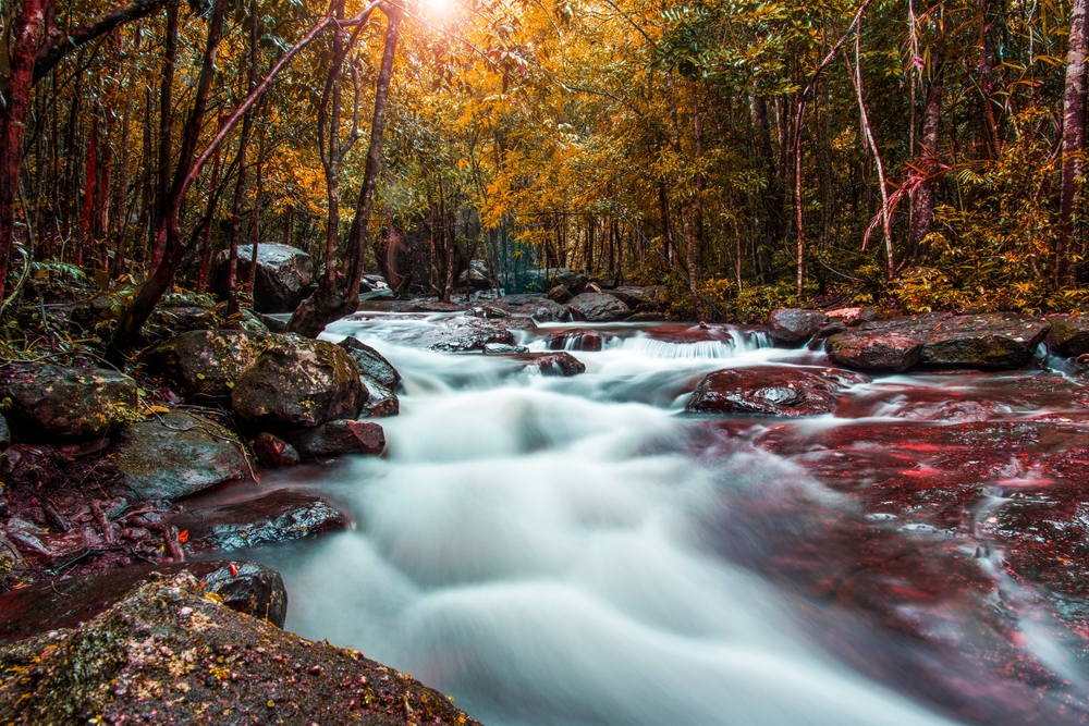 Phu-Quoc National Park