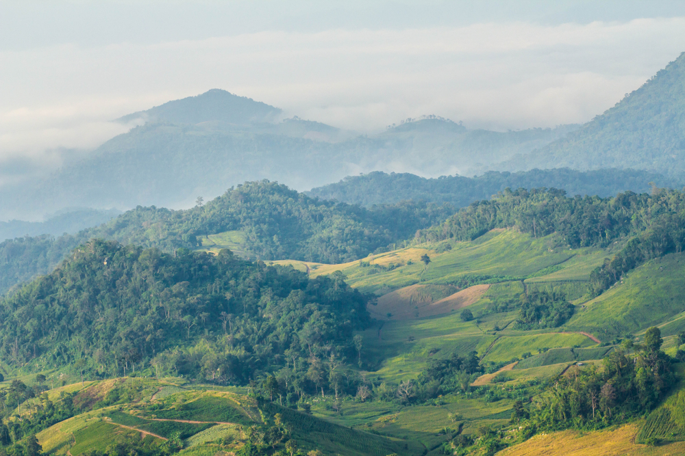 Phu Toei National Park