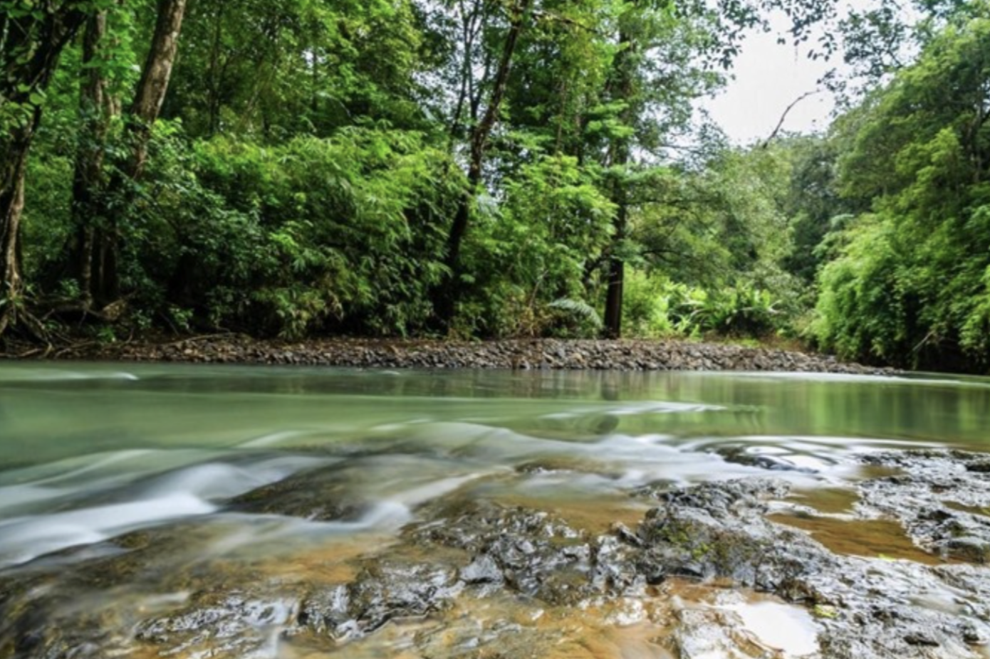 Phuoc Binh National Park