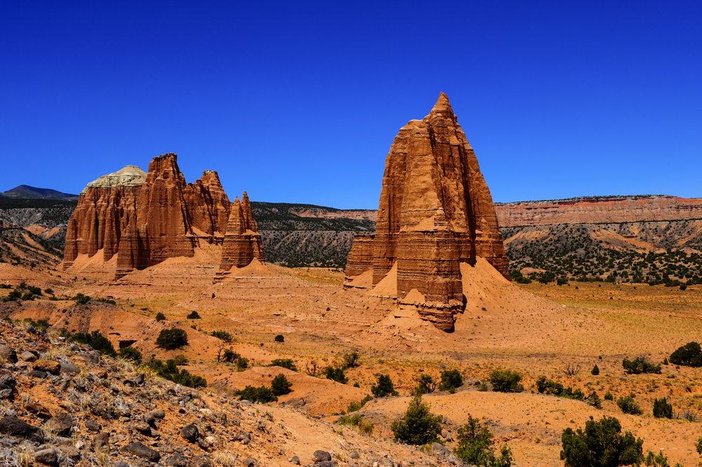 Bryce Canyon National Park hoodoos on the hillside