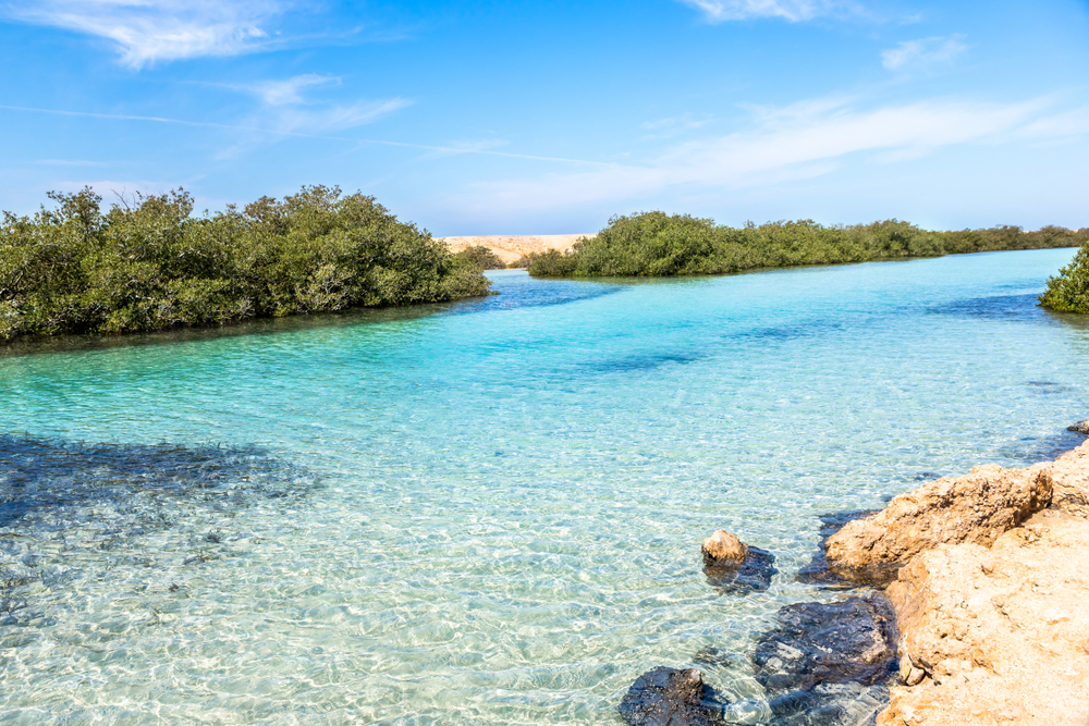 Ras Muhammad National Park National Parks Association
