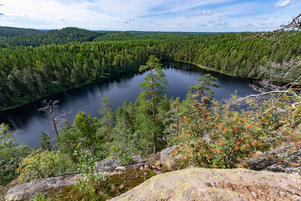 Repovesi National Park