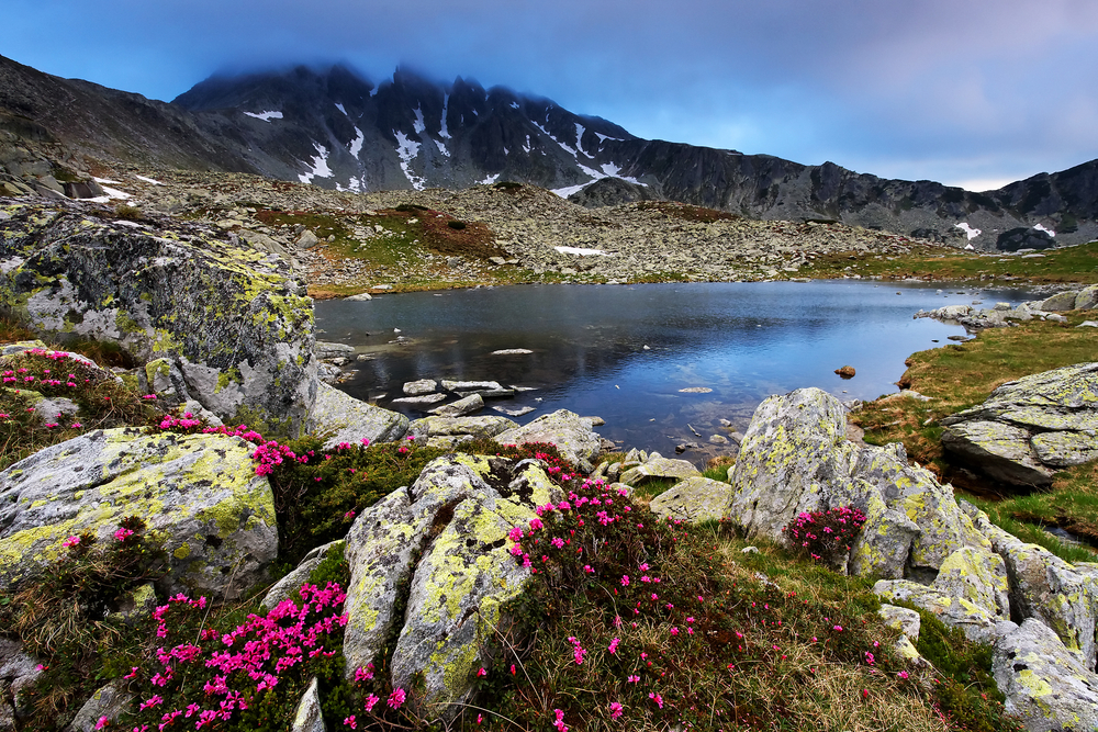 Rodna National Park