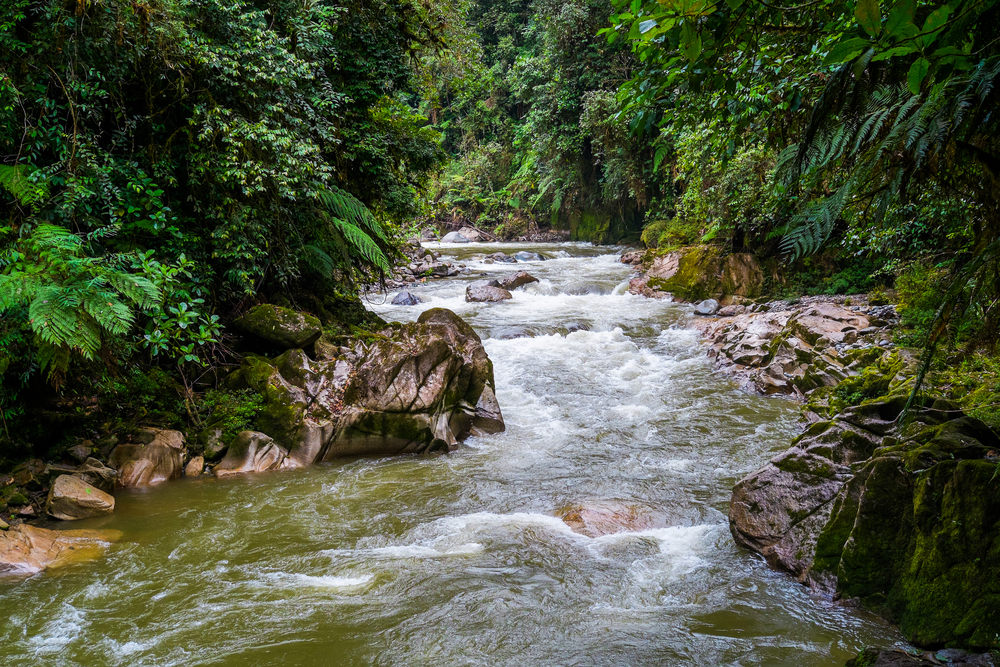 Sangay National Park