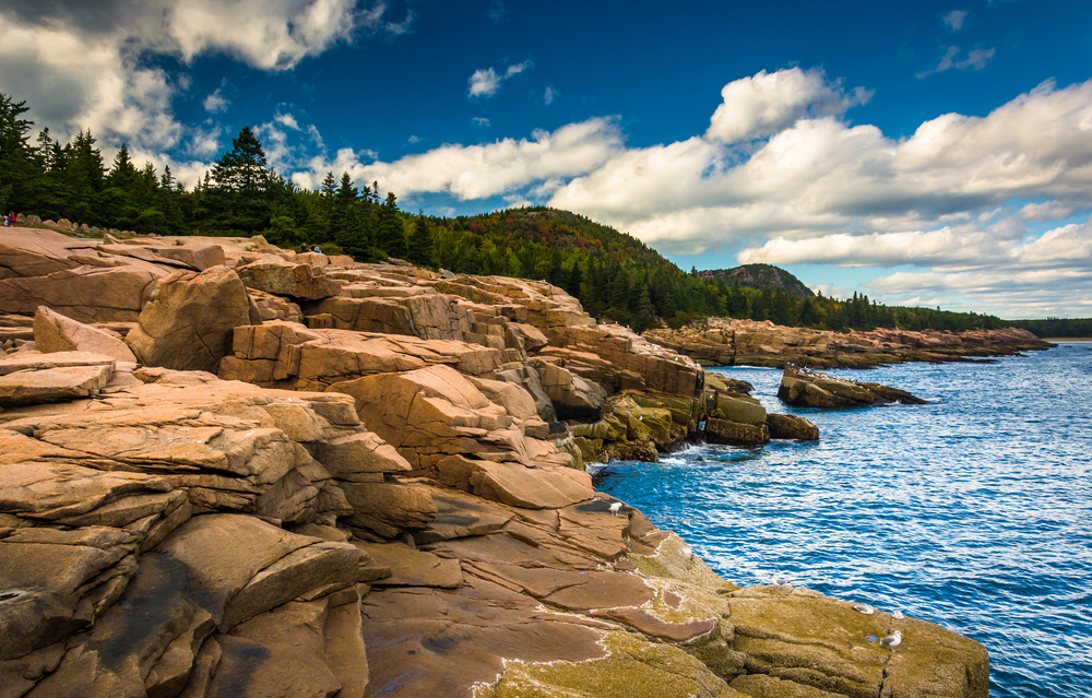 Rocky coastline of Acadia National Park