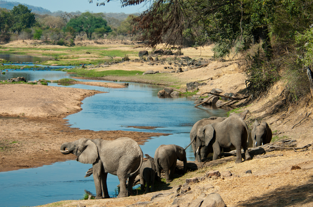 Gombe Stream National Park up close