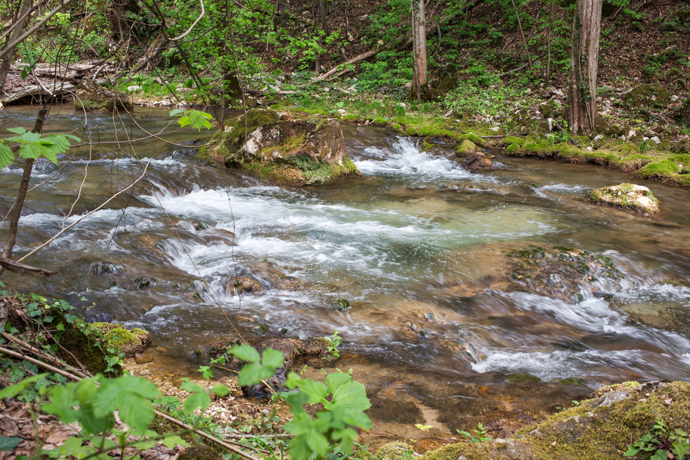 Semenic-Caras Gorge National Park