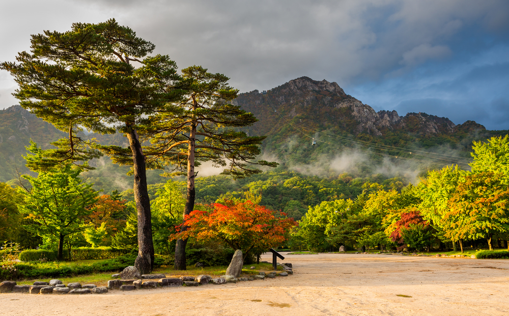 Naejangsan National Park