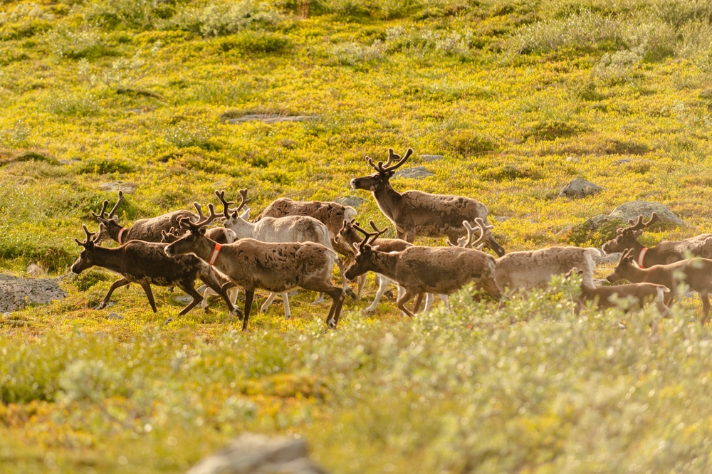 Forlandet National Park