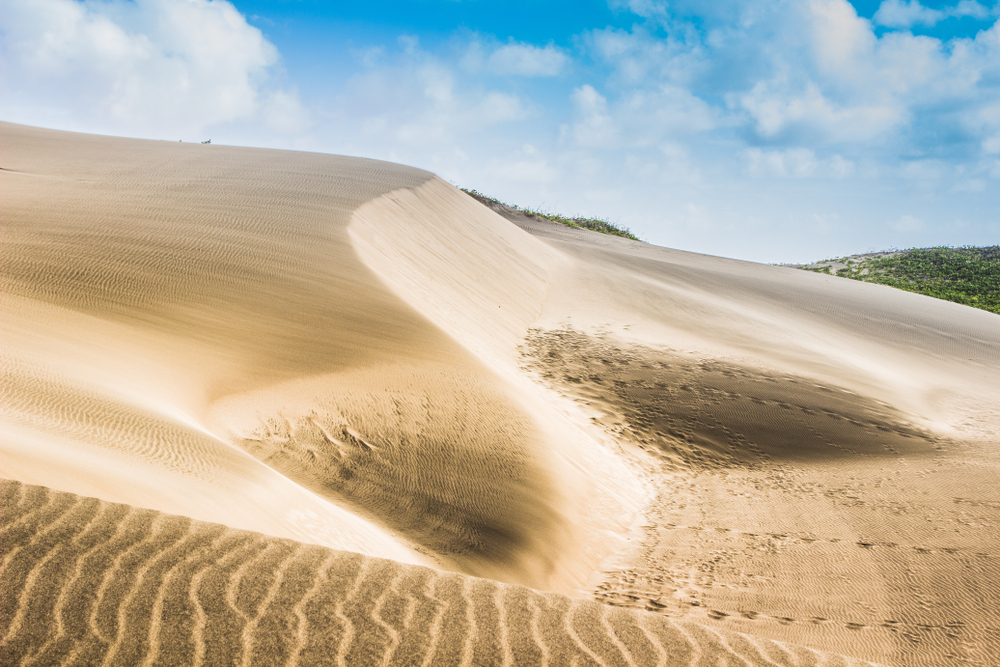 Sigatoka Sand Dunes National Park with flora