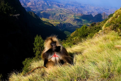 Ethiopia National Parks