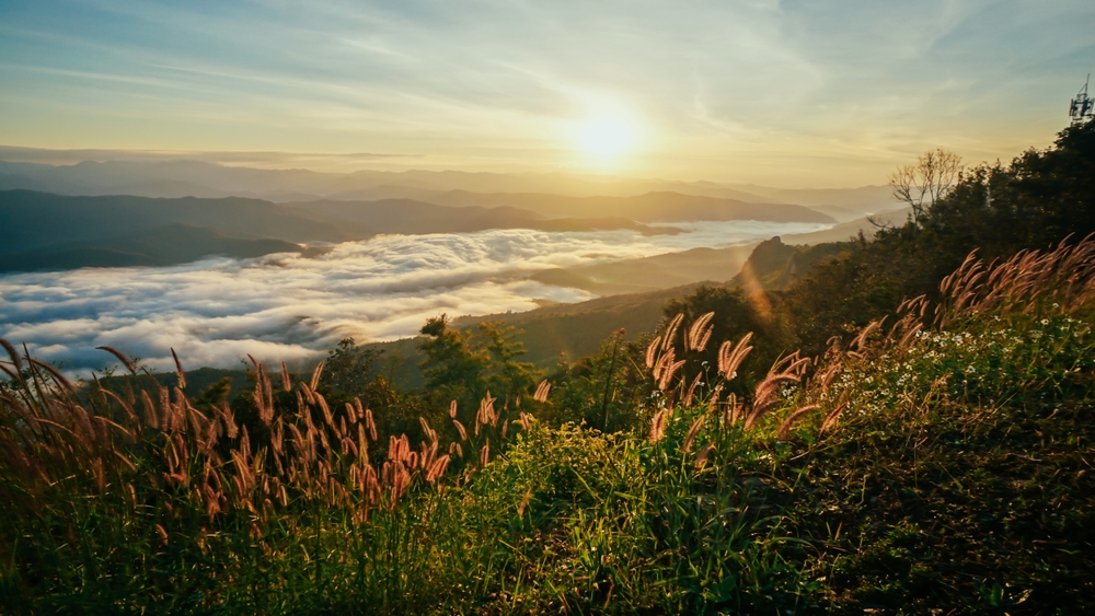 Sri Nan National Park