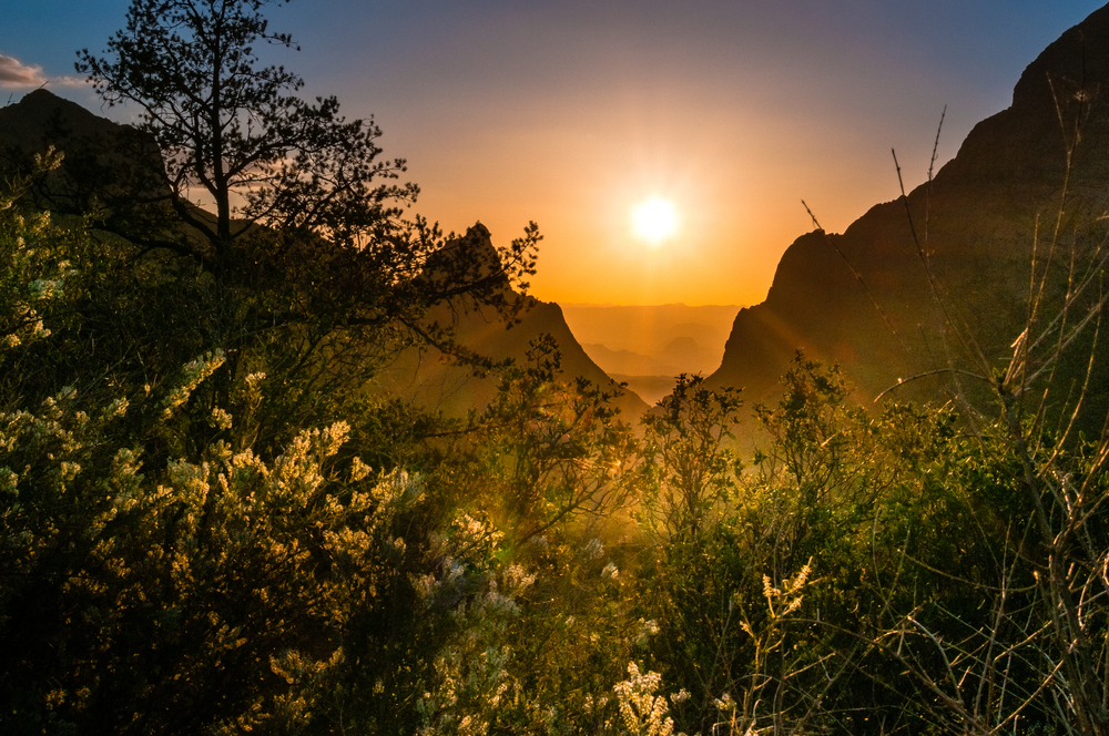 Big Bend National Park