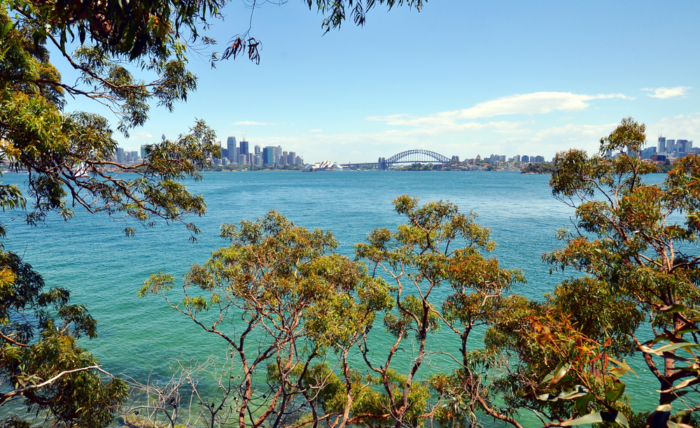 Sydney Harbor National Park with Sydney bridge
