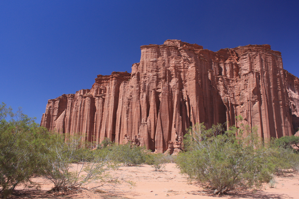 Los Cardones National Park