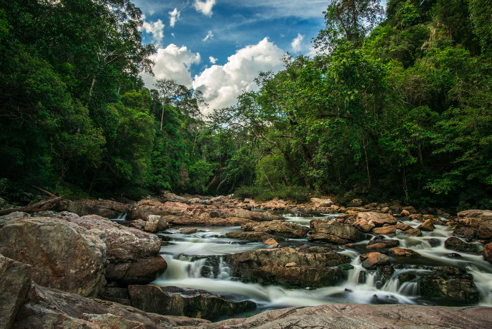 Penang National Park rocky beach