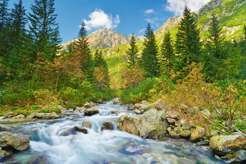 Poland National Parks