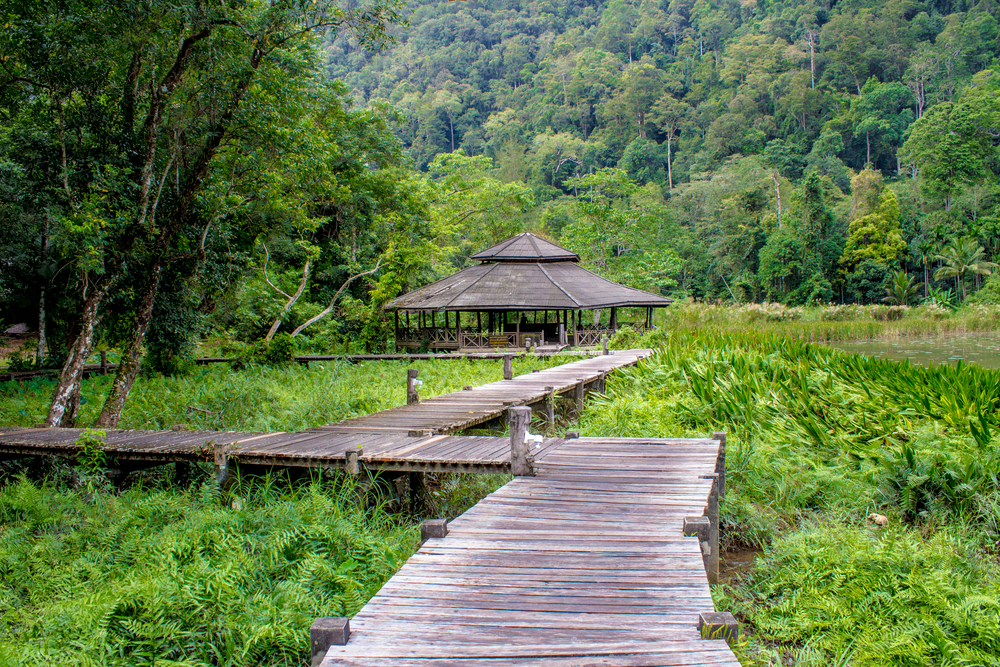 Thale Ban National Park