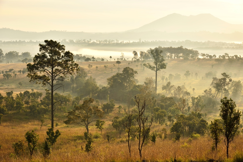 Thung Salaeng Luang National Park