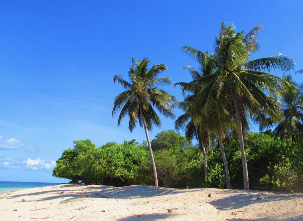 Ulu Sebuyau National Park