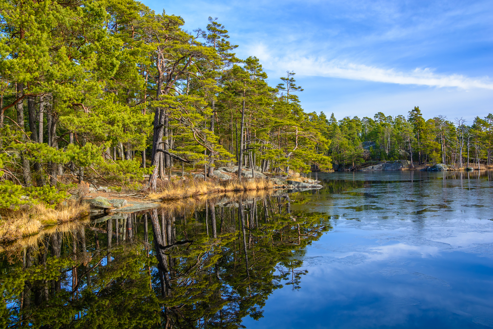 Tyresta National Park lake shoreline