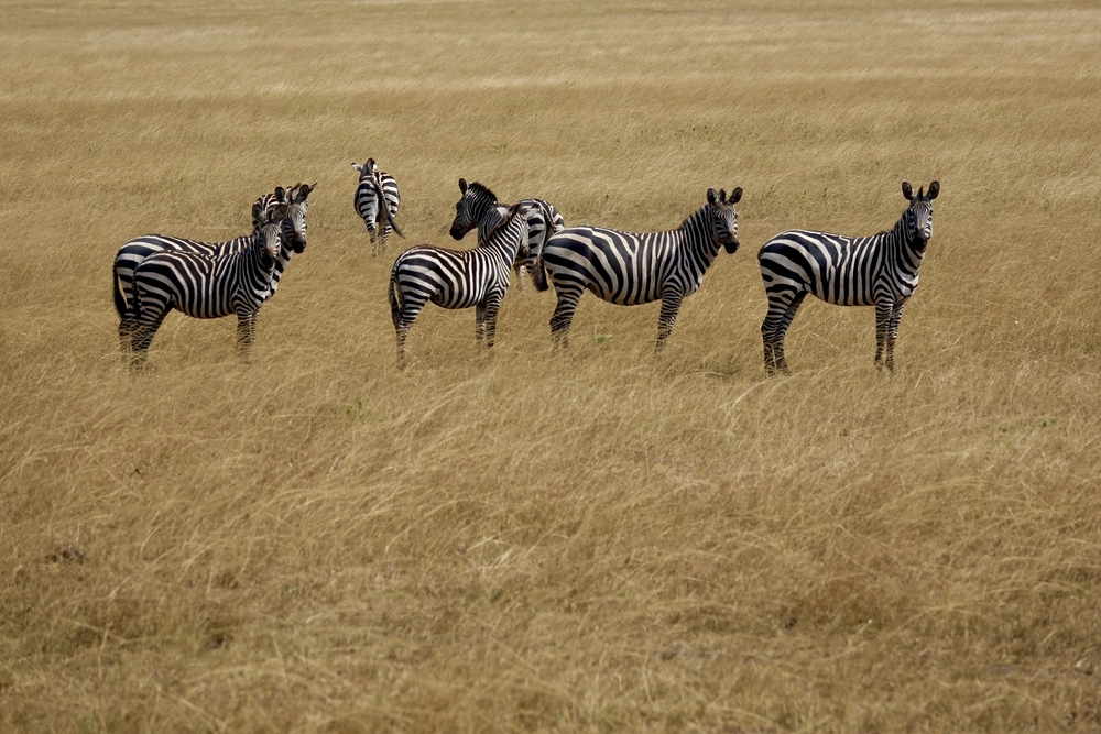 Upemba National Park