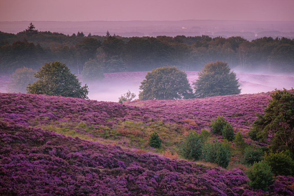 De Hoge Veluwe National Park - National Parks Association