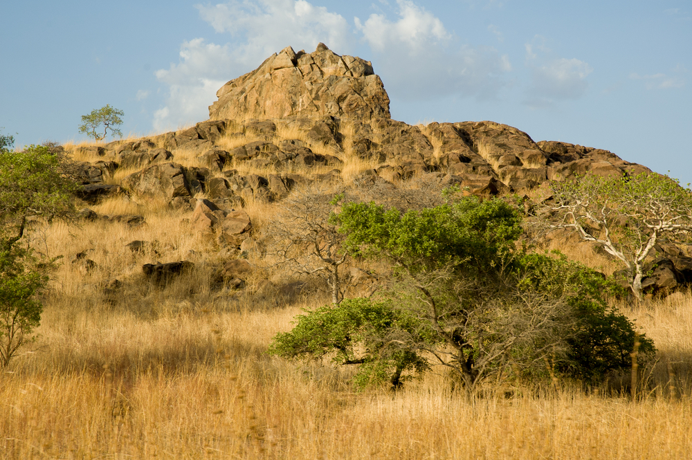 Korup National Park