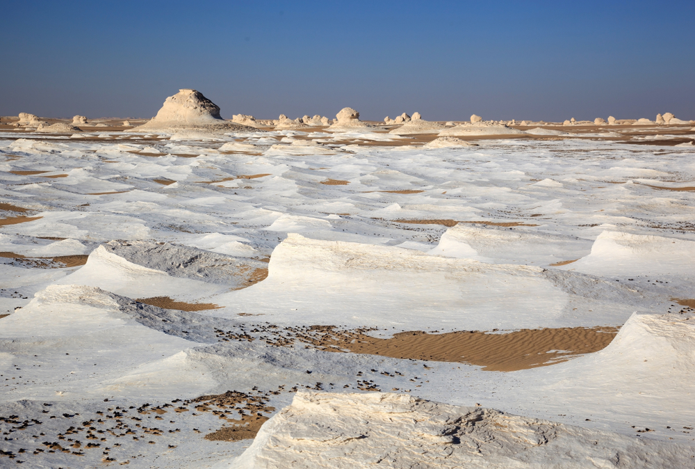 Wadi el Gemal National Park