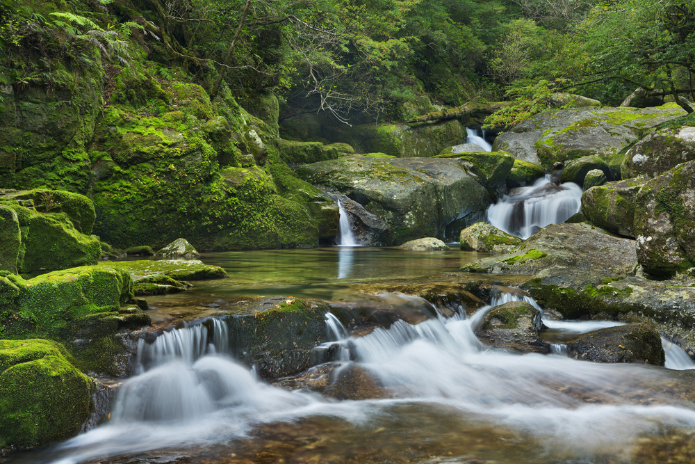 Nikko National Park