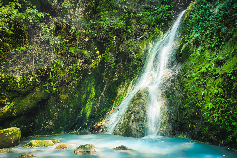 Yangmingshan National Park waterfall