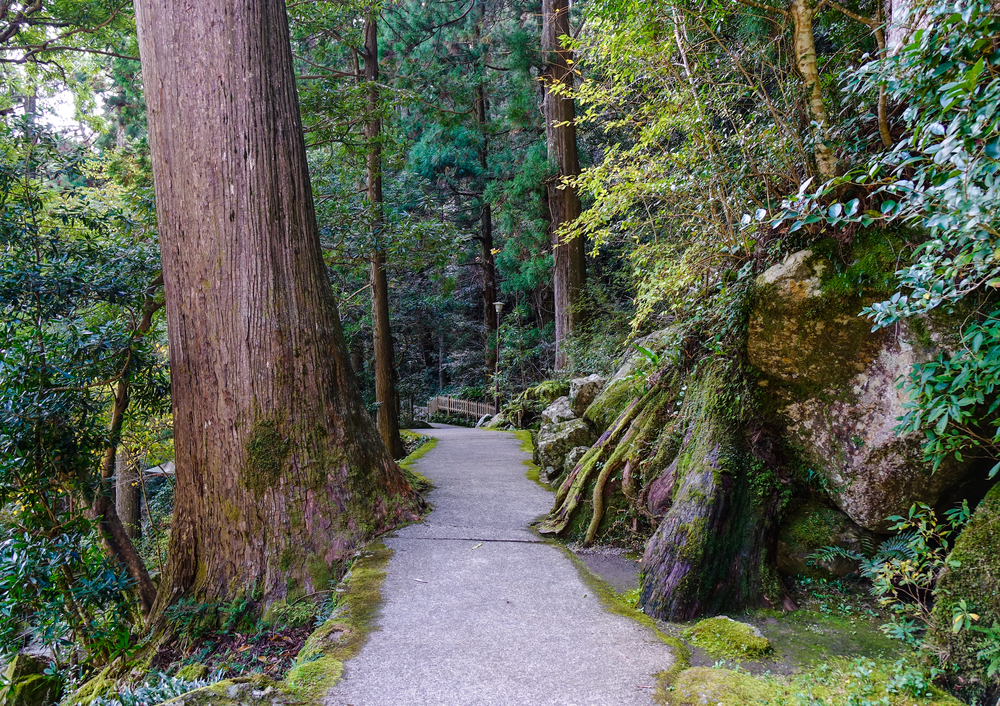 Nikko National Park