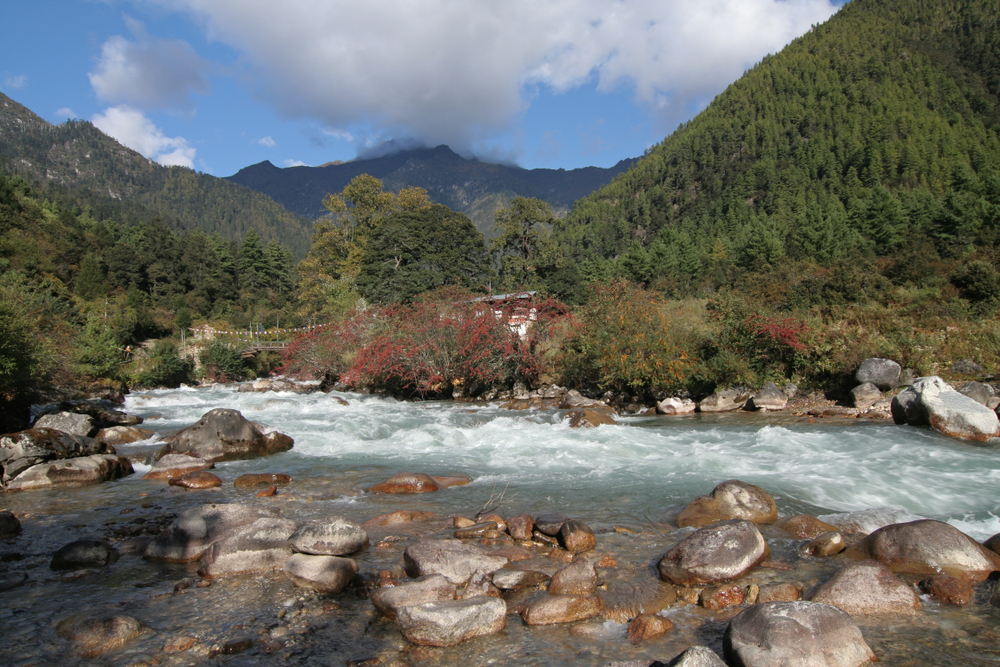 river paro running through Jigme Dorji