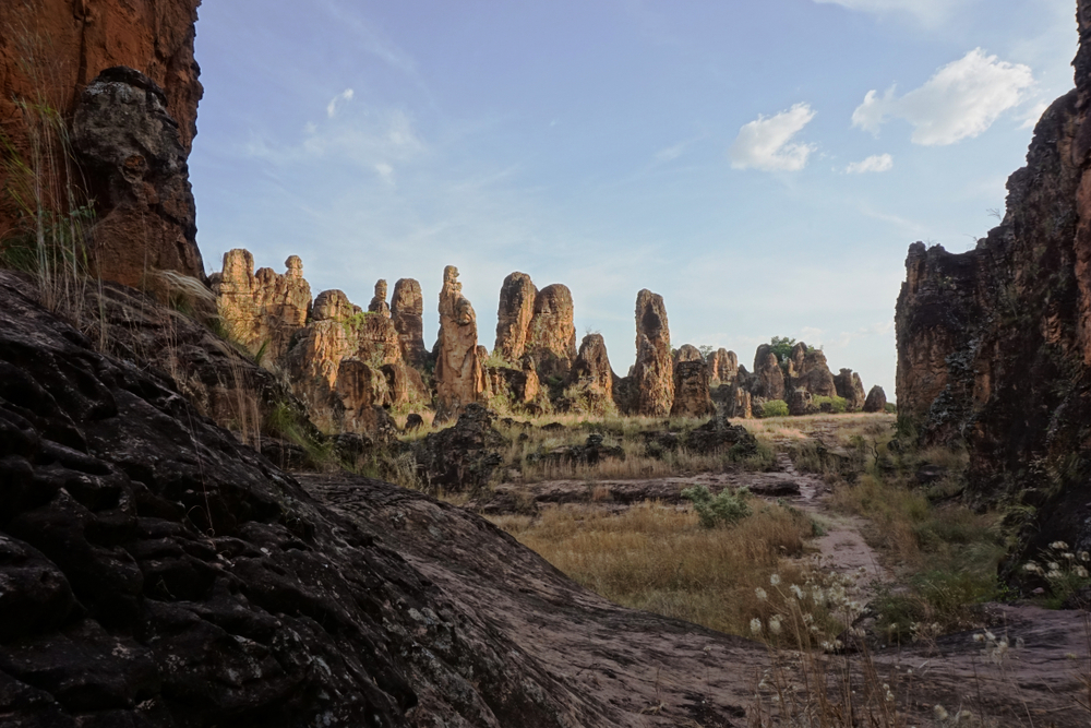 Burkina Faso National Parks